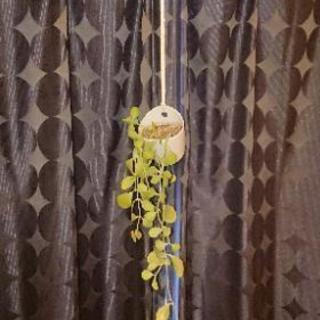 多肉植物値下げ カーテンレール等に吊り下げれます ホージィー 妙法寺の家具の中古あげます 譲ります ジモティーで不用品の処分