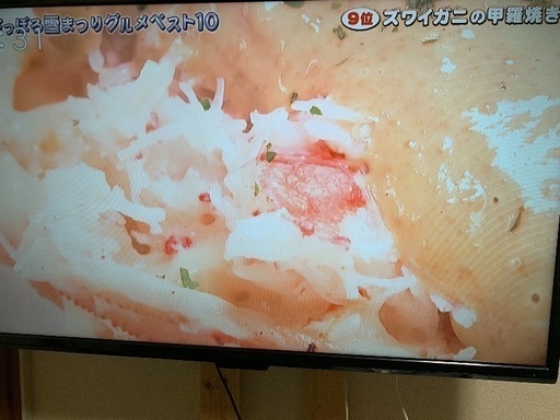 ORION 48型液晶テレビ 2014年製 | noonanwaste.com