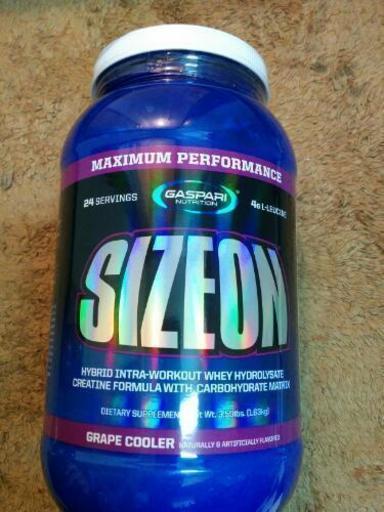 【Gaspari】SIZEON　ギャスパリ サイズオン