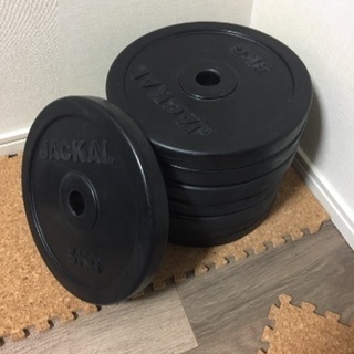 ダンベル ラバー プレート 5kg 8枚