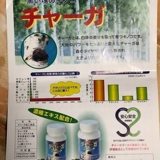 卸売 チャーガゴールド 300粒入り