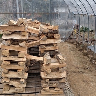 薪王☆すぐに焚ける乾燥薪（樫40cm）限定1台【20km以内配達無料】