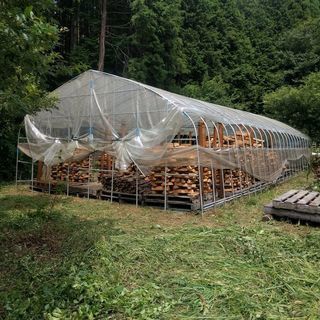 薪王☆すぐに焚ける乾燥薪（樫40cm）限定1台【20km以内配達無料】