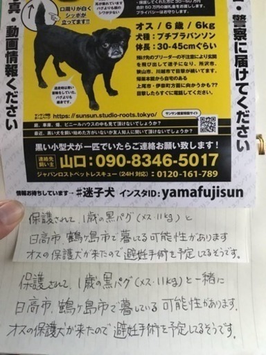 黒い迷子犬探してます 黒パグ似の小型犬 Yamafusun 鶴ヶ島の手伝って 助けての助け合い ジモティー