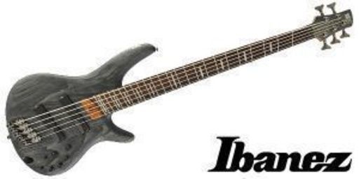 5弦ベース売ります。IbanezのSRFF805です。