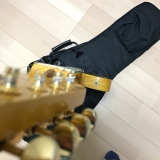 Vanzandt TLV-R1 テレキャスター