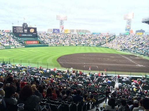 阪神タイガースvs横浜ベイスターズ | loginets.com