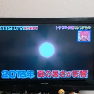 東芝 REGZA レグザ 32インチ 液晶テレビ