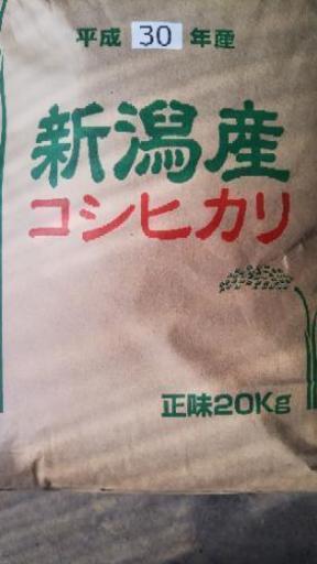 【旧長岡市近郊無料配達】30年産長岡コシヒカリ大粒米玄米20kg　精米無料