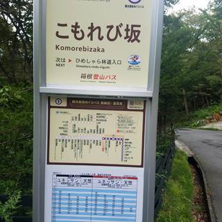 徒歩でも行ける箱根の温泉別荘（ヒノキ風呂付） - 不動産