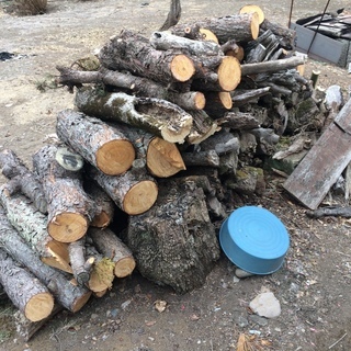  伐採した木　薪 薪ストーブ  残り100Kｇ位
