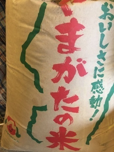 取引中です