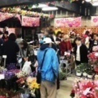 賑やかしやイベントで出張花販売をお試しっ！