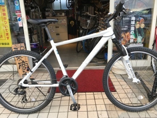 ブリジストン オルディナ 綺麗な中古です