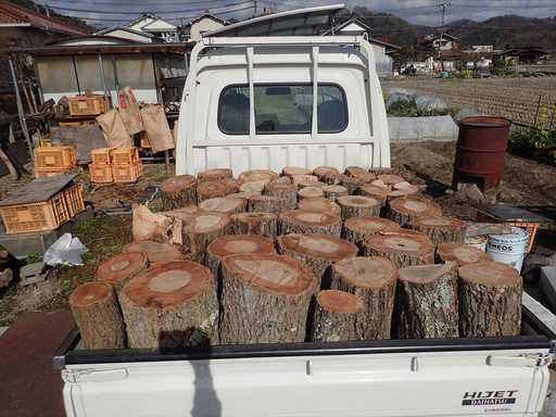 薪　薪の玉（原木）