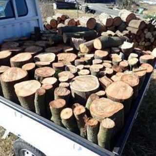 薪　薪の玉（原木）