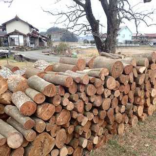 薪　薪の玉（原木）