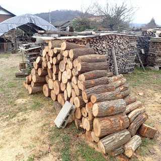薪　薪の玉（原木）