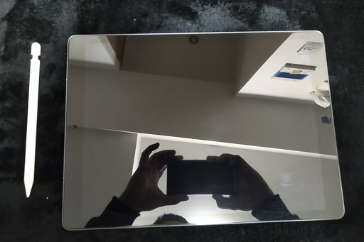 iPad i pad 12.9 64g 2018  cellular + i pencil