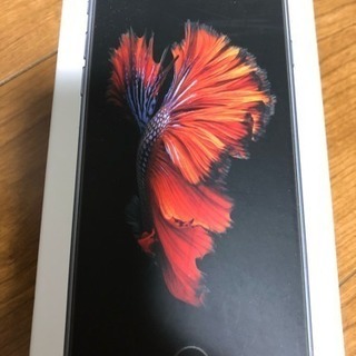 iPhone 6s Space Gray 32 GB SIMフリー