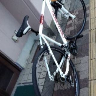 CENTURION[センチュリオン] MTB CROSS LINE50 700c/アルミ/24speed/Fサス