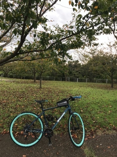 クロスバイク Bianchi ROMA3 2018年式 サイズ50