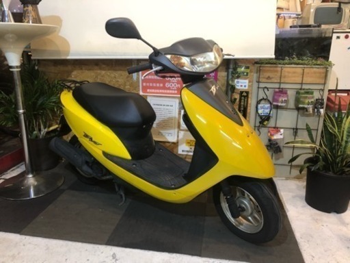 自賠責1年付き DIO インジェクション イエロー