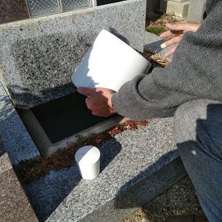 海の見える墓地に散骨致します。