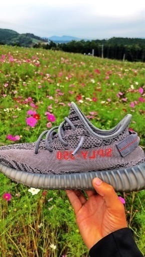靴 yeezyboost350v2