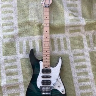 エレキギター Schecter SD-DX 新古品