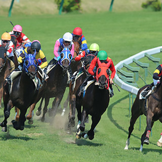 馬好き競馬好き集まれ―☆中央競馬、地方競馬好きならなんでもOK！...