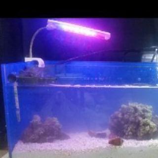 熱帯 海水魚水槽ledその他セット60センチ りょりょ 横浜のその他の中古あげます 譲ります ジモティーで不用品の処分 熱帯 海水魚水槽ledその他セット60センチ りょりょ 横浜のその他の中古あげます 譲ります ジモティーで不用品の処分