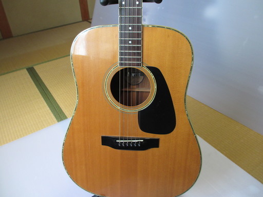 モーリスアコギ　MD－５１５