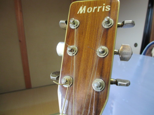 モーリスアコギ MD－５１５