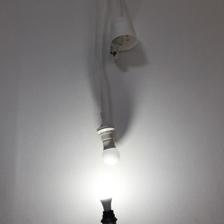 LED電球とソケット