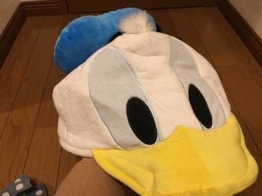 Disney ドナルド 帽子 高崎の生活雑貨の中古あげます 譲ります ジモティーで不用品の処分