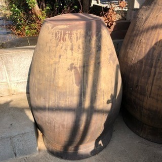 鉢ビックサイズ