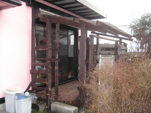 ボルゾイ ７ヵ月オス 聖子 石津のその他の里親募集 ジモティー