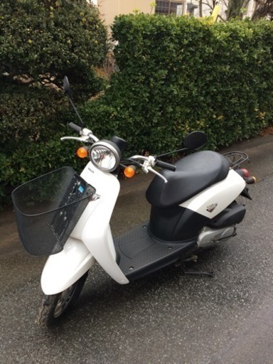 原付バイク【ホンダ トゥデイ】※バッテリー要交換