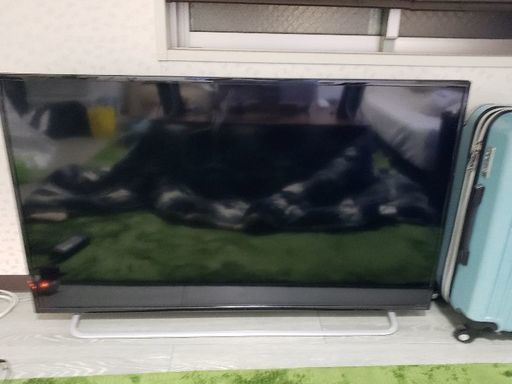 49インチパソコン用ディスプレイIODATA | www.eva.id