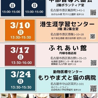3月31日(日) 猫の譲渡会 名古屋市港区 社会福祉法人 中部盲導犬協会　みなと猫の会 主催 - イベント