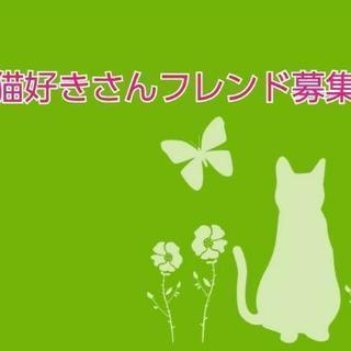 猫が大好きな人！気軽に猫の話をしませんか？