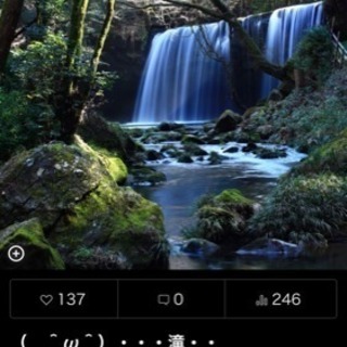 Canon EOS Kiss×7 セット 