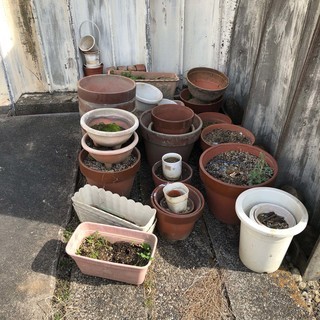 植木鉢いろいろ　20個以上　差し上げます　中古品