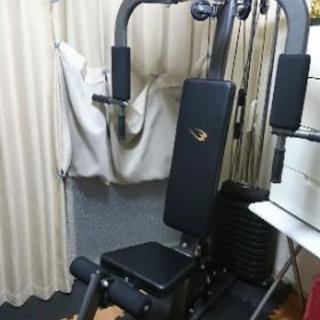 トレーニングジム 8千円  2018年11月購入