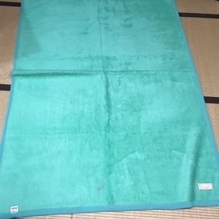 引取先決定！ 37 引越 毛布 東京西川産業製 緑① 引取限定