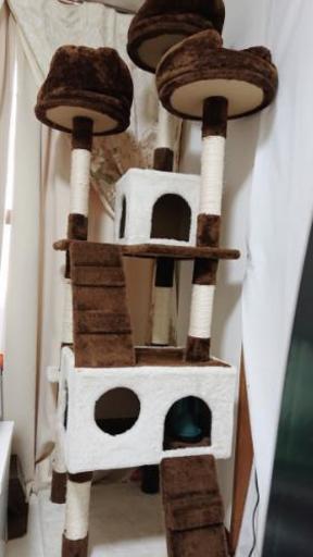 キャットタワー (〆切)