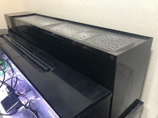 引き渡し決定】120×60×45アクリル水槽一式＋生体