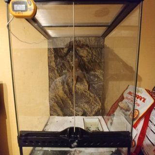 爬虫類　飼育ケージ