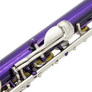 ちょっと珍しいパープル色のフルート (付属品7点付)初心者・入門 - 楽器